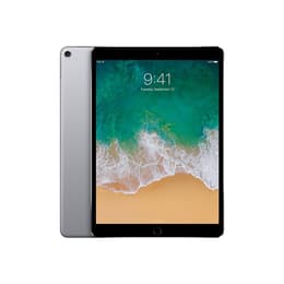 iPad Pro 10.5 (2017) 1:a generationen 256 Go - WiFi + 4G - Grå Utrymme